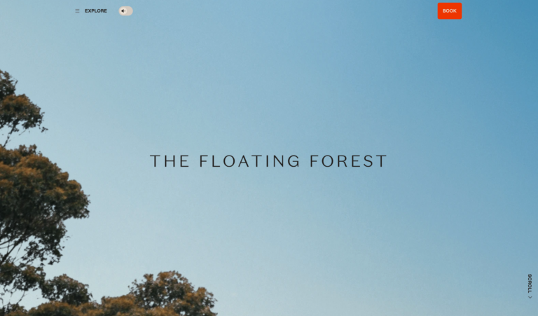 The Floating Forest